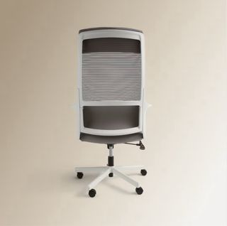 Silla de escritorio ergonómica gris y blanca