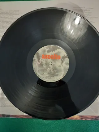 Vinile Fanigliulo Io e me