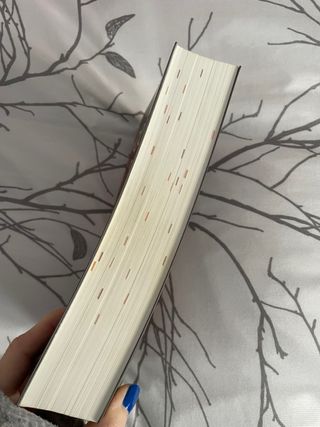 Una corte de llamas plateadas