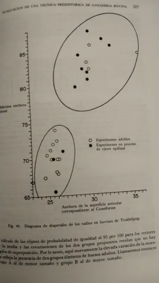 Ciencia en Arqueología