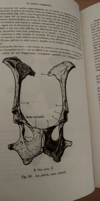 Ciencia en Arqueología