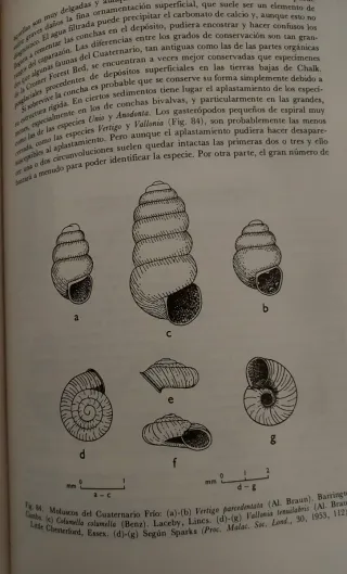 Ciencia en Arqueología