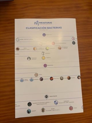 Manuales MIR Asturias