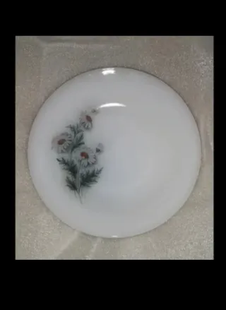 Pedido para Patricia. 4 Platos llanos Arcopal