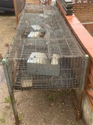 Jaula para conejos multi-nivel