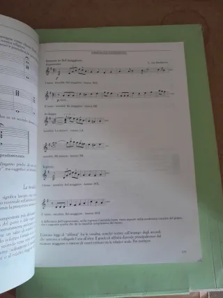 Nella musica. Per le Scuole superiori