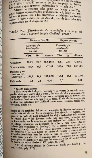 Economía de la Edad de Piedra