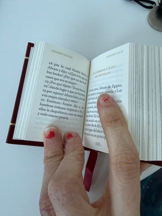 Biblia de bolsillo