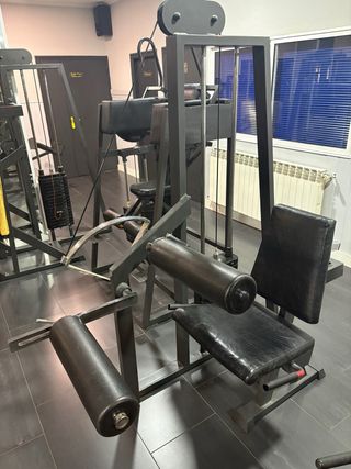 Curl Femoral Sentado Placas