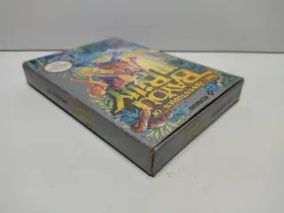 The Adventures of Bayou Billy nintendo NES