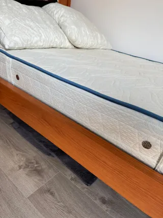 Colchón Dorsuit 105x190