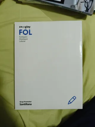 FORMACIO I ORIENTACIO LABORAL GRAU SUPERIOR