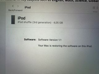iPod Shuffle Apple Negro/Plateado