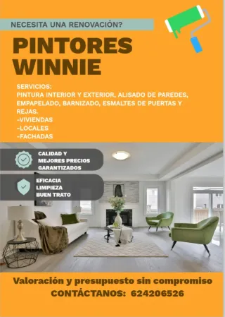 Pintor económico y profesional