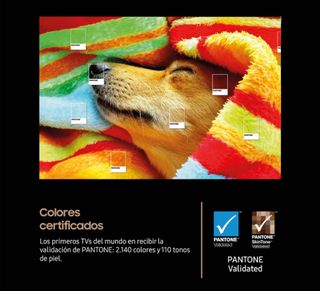 Samsung OLED S90F 77. Precintada. Factura