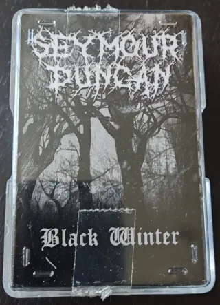 Pastilla Guitarra Seymour Duncan Black Winter