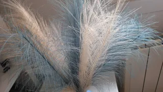 Jarrón azul con plumas decorativas