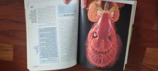 Bulldog Inglés (Excellence) (Spanish Edition)