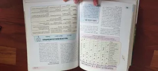 Bulldog Inglés (Excellence) (Spanish Edition)