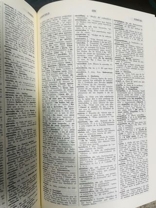 Diccionario ideológico de la lengua española