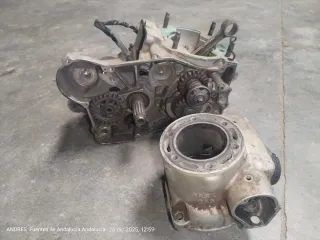 Lote, piezas de Gas Gas 250cc