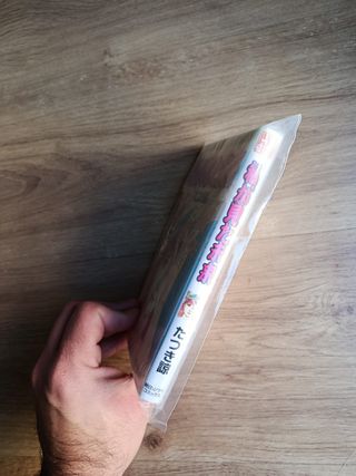 The future i saw El futuro que vi Ryo Tatsuki 1999