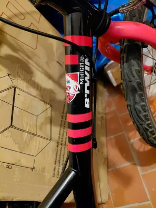 Bicicleta Infantil Btwin Misti Girl 320