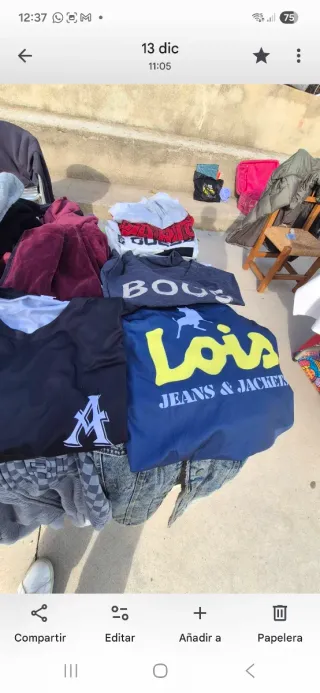 Lote Ropa Varias Marcas y Tallas.