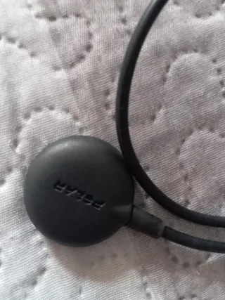 Cargador Polar Ignite