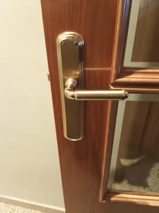 2 Puertas de roble con cristal