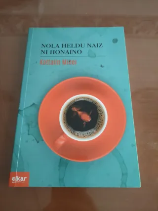 Nola heldu naiz ni honaino