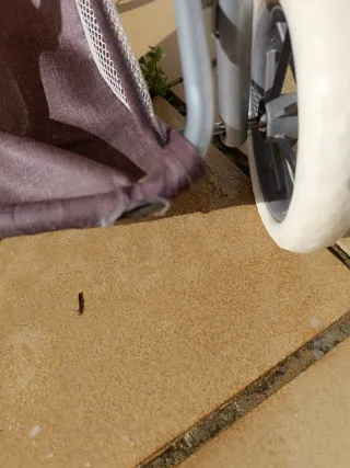 Carrito Gemelar de Juguete