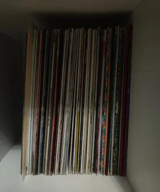 Lote 85 Vinilos Alejandro