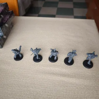 5 Figuras infractors