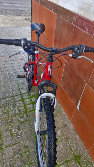 Bicicleta 24 FREE RIDER