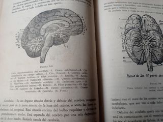 1942 LIBROS DE MEDICINA ANTIGUOS
