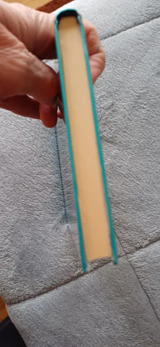 ¡Cómo molo! (Otra de Manolito Gafotas) (Manolit...