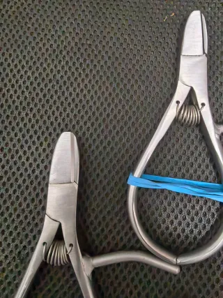 6 tijeras para Cítricos