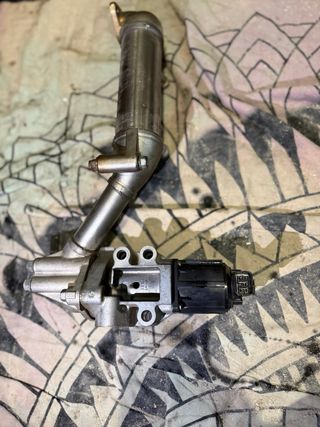 Válvula EGR Kia Carnival 2007