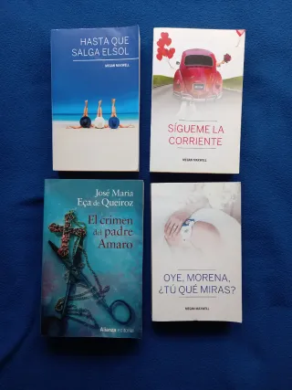 LOTE DE 25 LIBROS