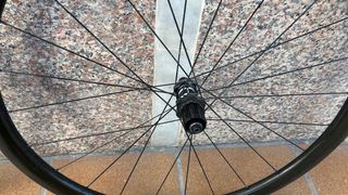 Ruote in carbonio con mozzi DT Swiss 350