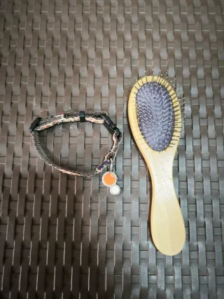 Collar para perro y peine