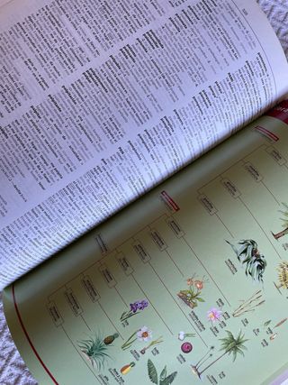 Larousse Gran Diccionario Español Inglés