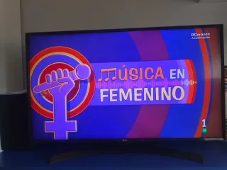 LG TV Negra 43 pulgadas