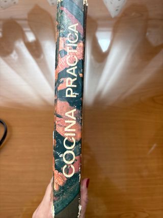 Cocina práctica