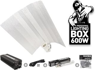 - TRAFIKA KIT ILUMINACIÓN CULTIVO BALASTRO DIGIT