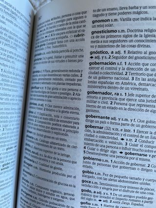 Larousse Esencial Diccionario Lengua Española