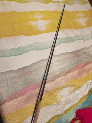 Caña de pescar Ragot Premiere 9' IM6