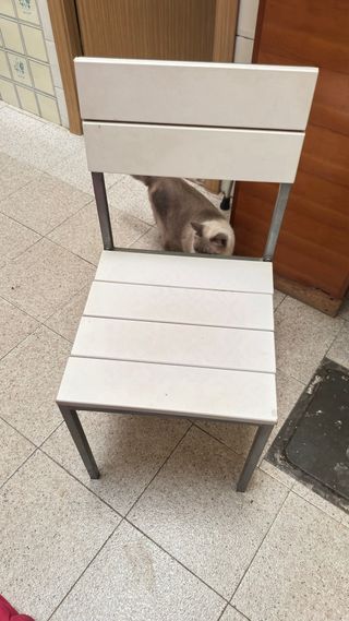 Silla blanca y gris de metal y plástico