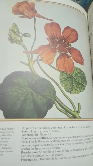 Enciclopedia de las hierbas. Jaimes libros 1979
